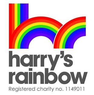 Harry's Rainbow logo